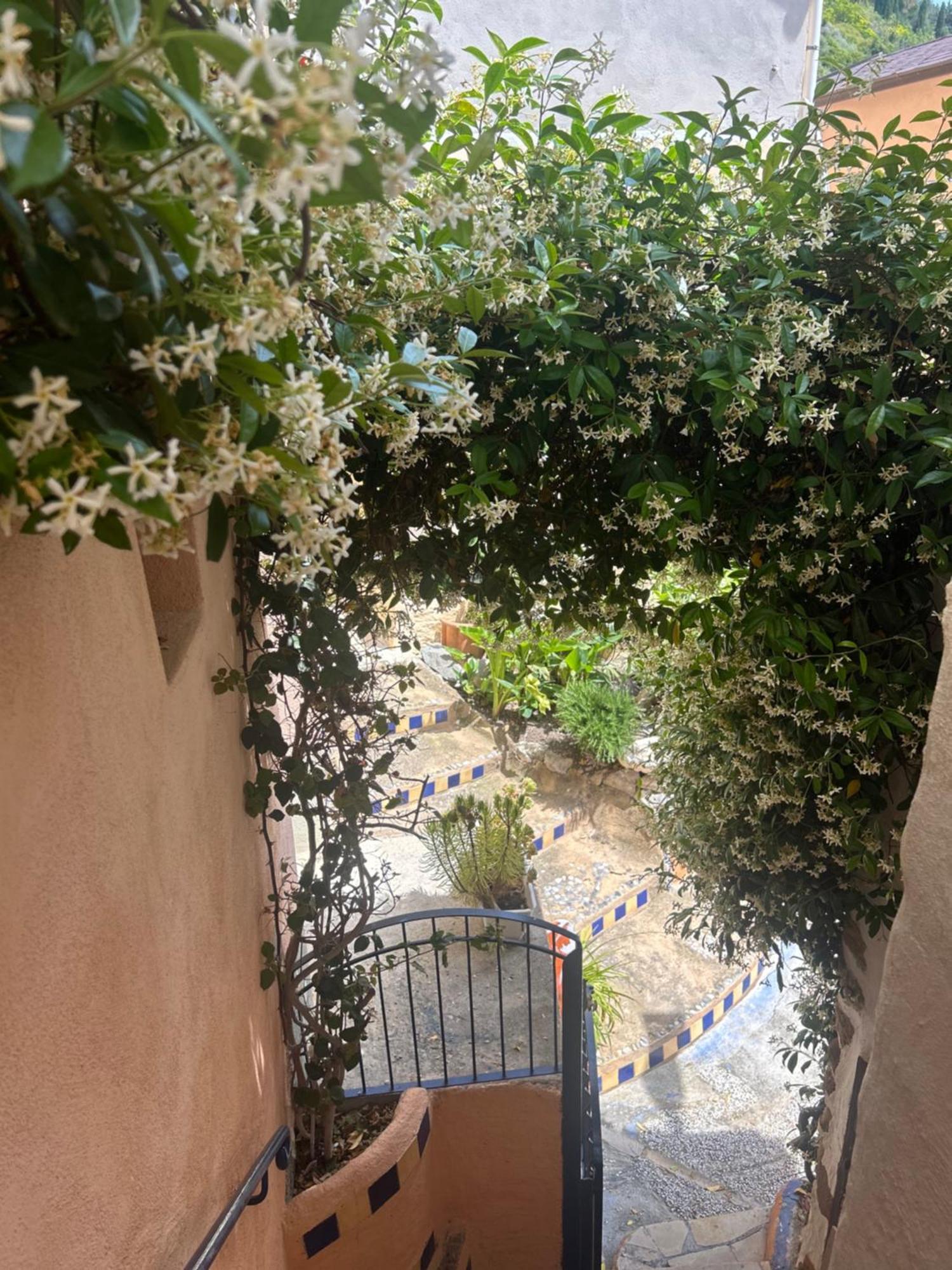 Mortola Superiore Villa D'Arte מראה חיצוני תמונה