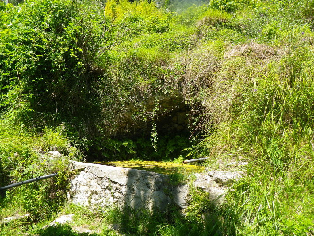 Mortola Superiore Villa D'Arte חדר תמונה